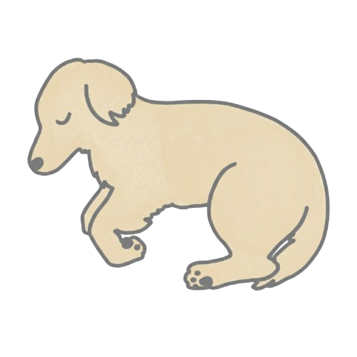 ペットちゃんを横にした姿